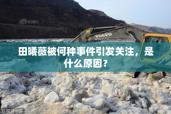 田曦薇被何种事件引发关注，是什么原因？