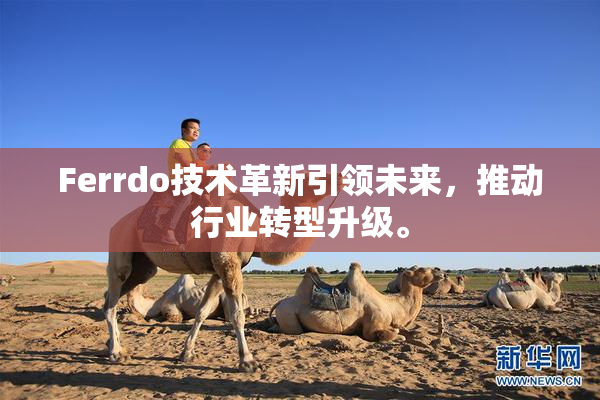 Ferrdo技术革新引领未来，推动行业转型升级。