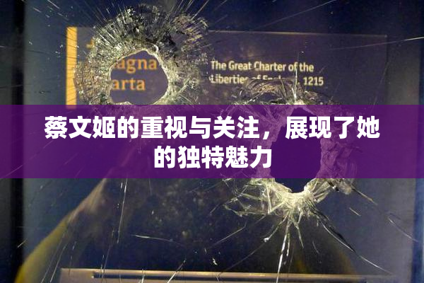 蔡文姬的重视与关注，展现了她的独特魅力