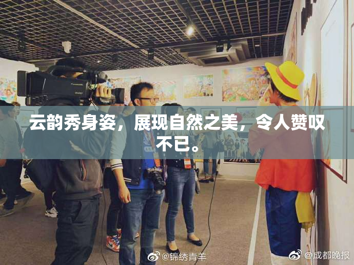 云韵秀身姿，展现自然之美，令人赞叹不已。