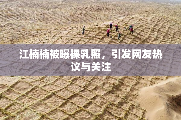 江楠楠被曝裸乳照，引发网友热议与关注