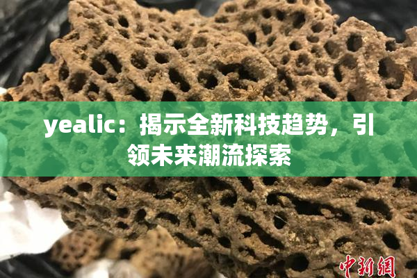 yealic：揭示全新科技趋势，引领未来潮流探索