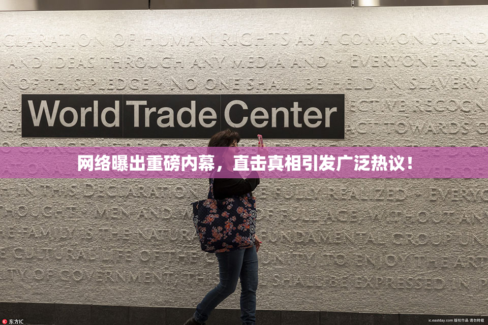 网络曝出重磅内幕，直击真相引发广泛热议！