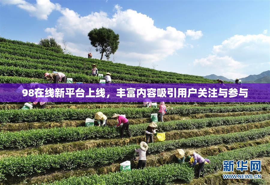 98在线新平台上线，丰富内容吸引用户关注与参与
