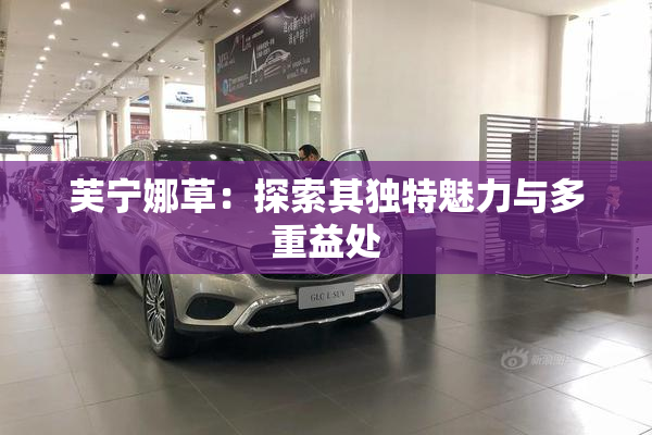 芙宁娜草：探索其独特魅力与多重益处
