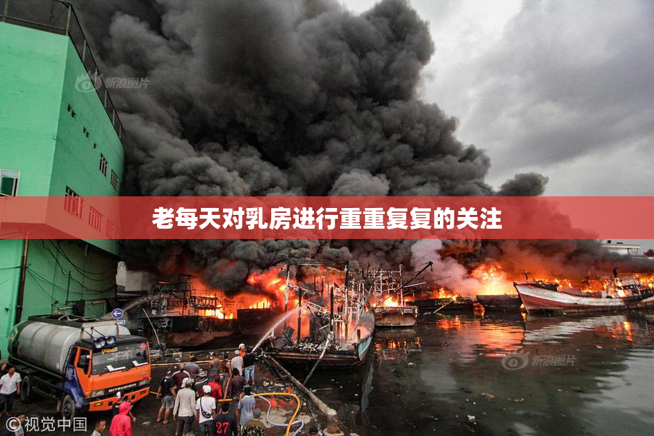 老每天对乳房进行重重复复的关注