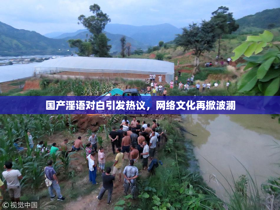 国产淫语对白引发热议，网络文化再掀波澜