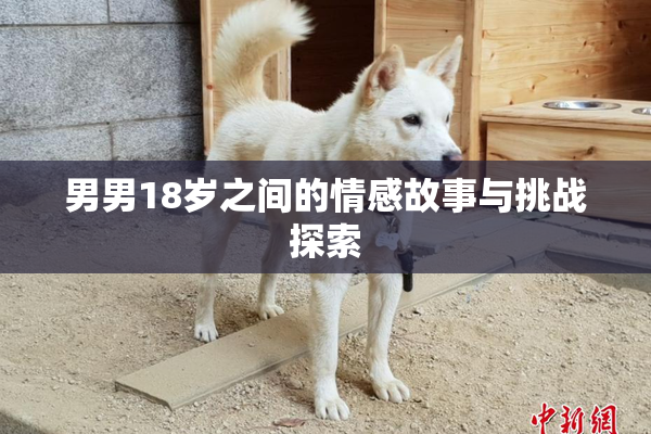 男男18岁之间的情感故事与挑战探索