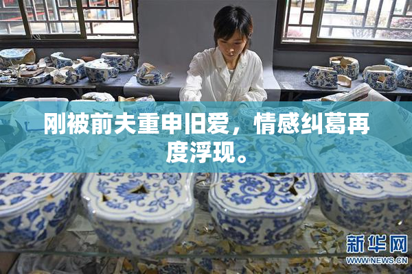 刚被前夫重申旧爱，情感纠葛再度浮现。