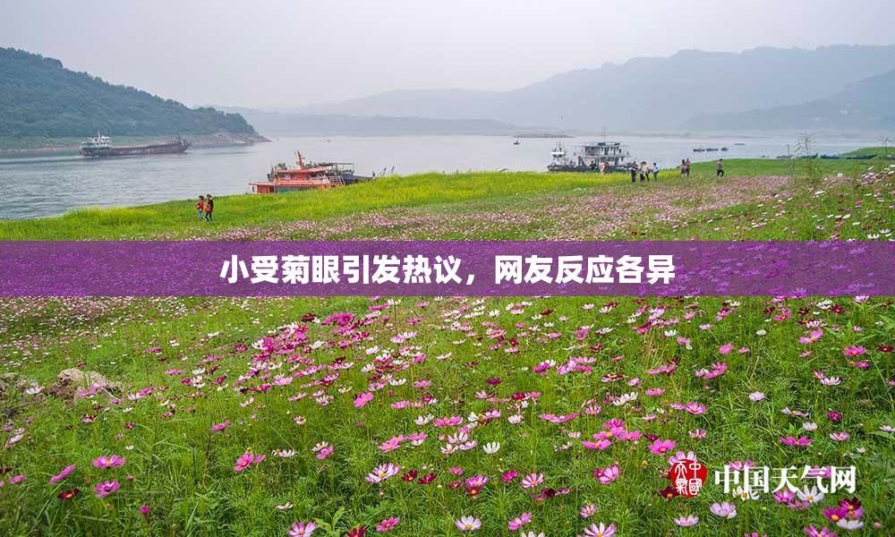 小受菊眼引发热议，网友反应各异