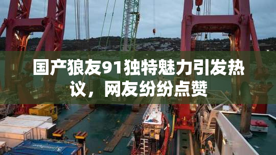 国产狼友91独特魅力引发热议，网友纷纷点赞