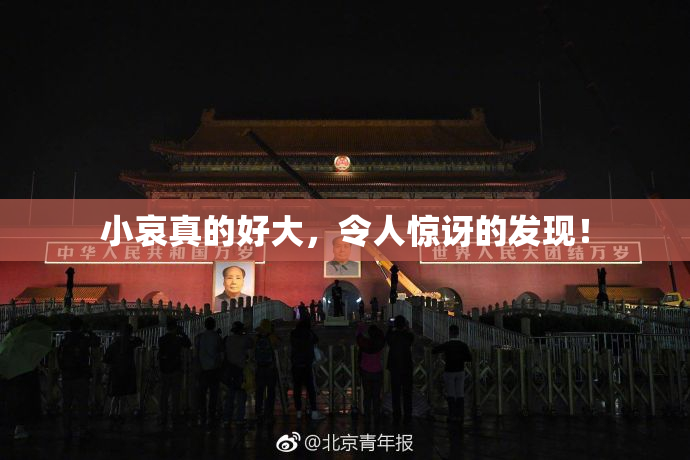小哀真的好大，令人惊讶的发现！