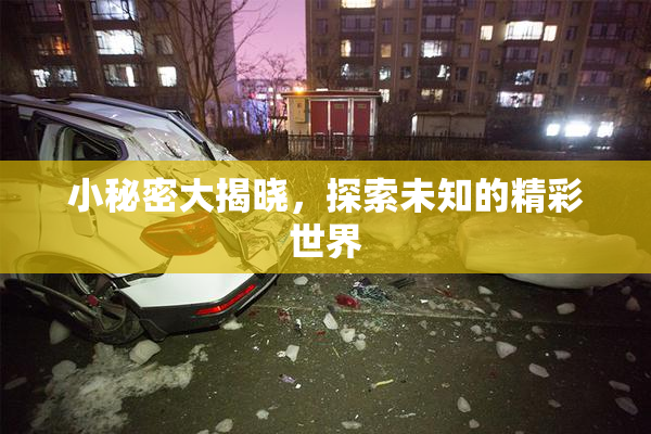 小秘密大揭晓，探索未知的精彩世界
