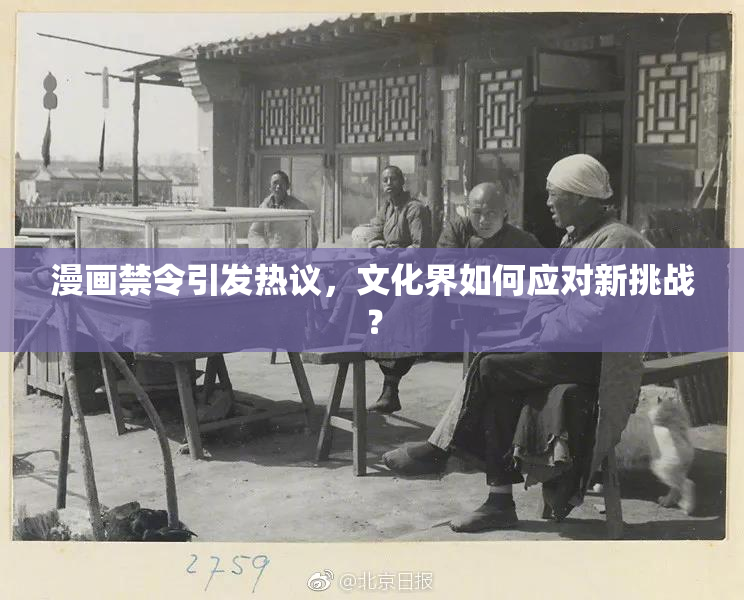 漫画禁令引发热议，文化界如何应对新挑战？