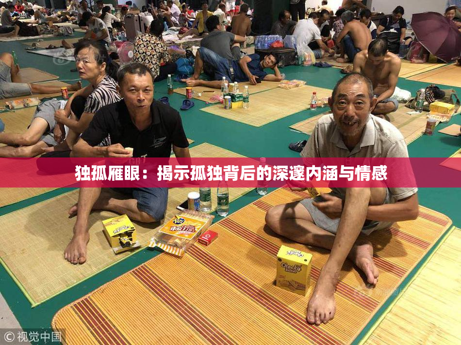 独孤雁眼：揭示孤独背后的深邃内涵与情感