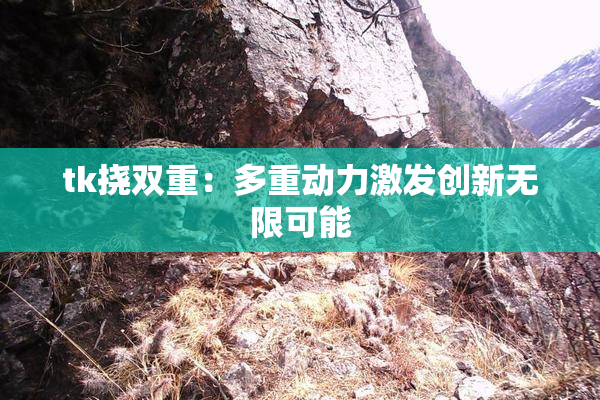 tk挠双重：多重动力激发创新无限可能