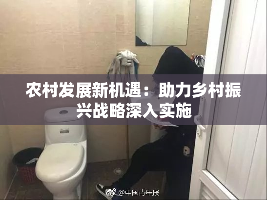 农村发展新机遇：助力乡村振兴战略深入实施
