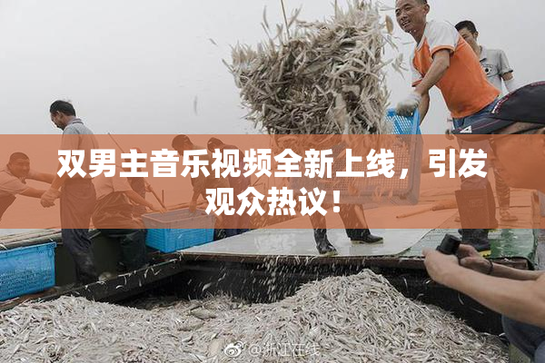 双男主音乐视频全新上线，引发观众热议！