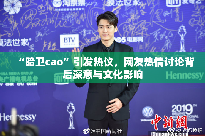 “暗卫cao”引发热议，网友热情讨论背后深意与文化影响