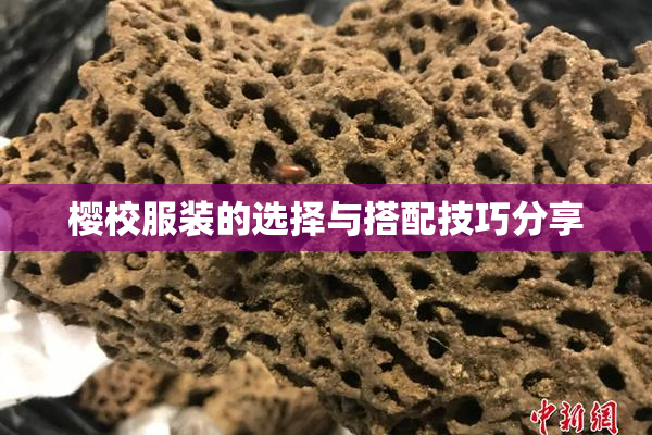 樱校服装的选择与搭配技巧分享