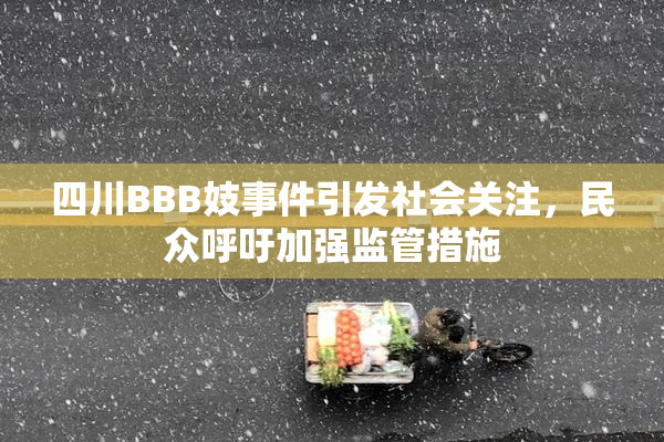 四川BBB妓事件引发社会关注，民众呼吁加强监管措施