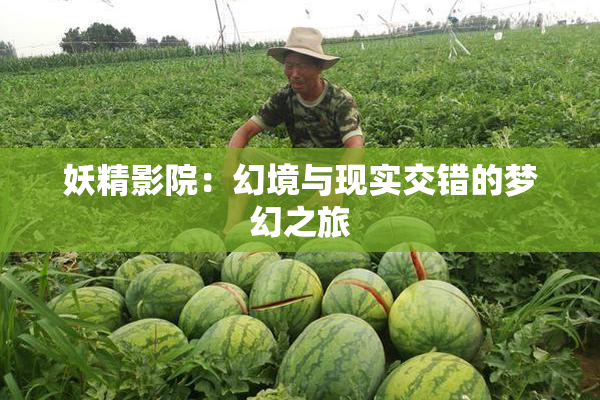 妖精影院：幻境与现实交错的梦幻之旅