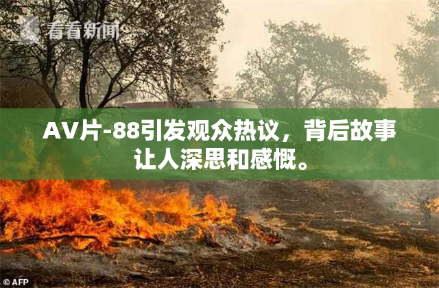 AV片-88引发观众热议，背后故事让人深思和感慨。
