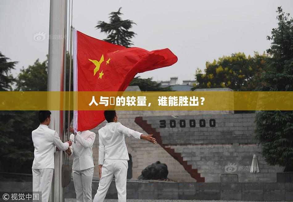 人与嘼的较量，谁能胜出？