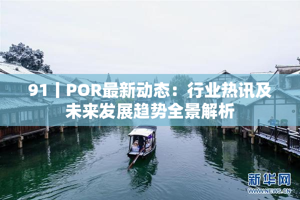 91丨POR最新动态：行业热讯及未来发展趋势全景解析