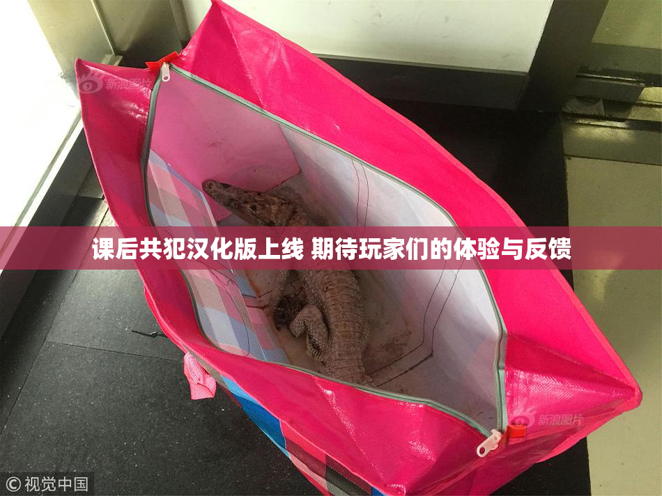 课后共犯汉化版上线 期待玩家们的体验与反馈