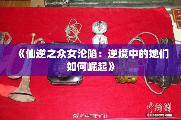 《仙逆之众女沦陷：逆境中的她们如何崛起》