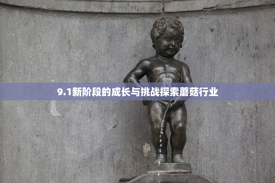 9.1新阶段的成长与挑战探索蘑菇行业