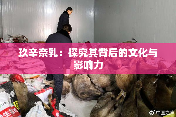玖辛奈乳：探究其背后的文化与影响力