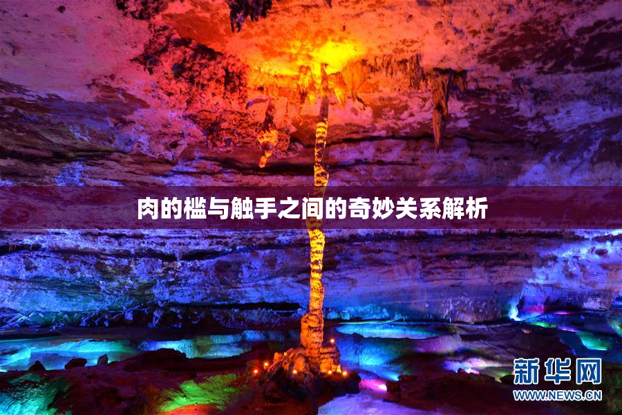 肉的槛与触手之间的奇妙关系解析
