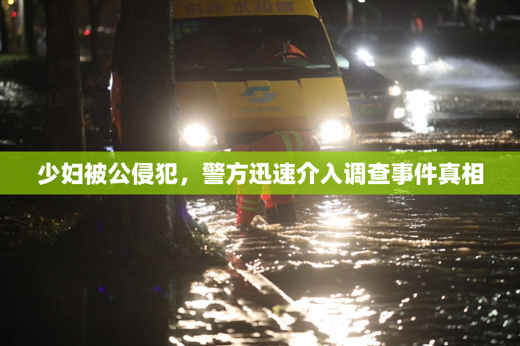 少妇被公侵犯，警方迅速介入调查事件真相
