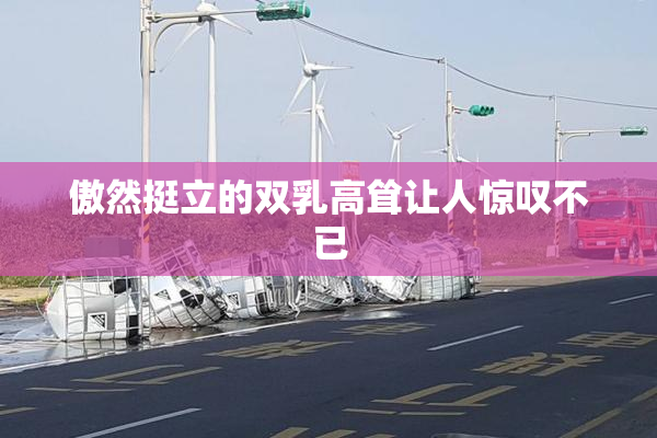 傲然挺立的双乳高耸让人惊叹不已