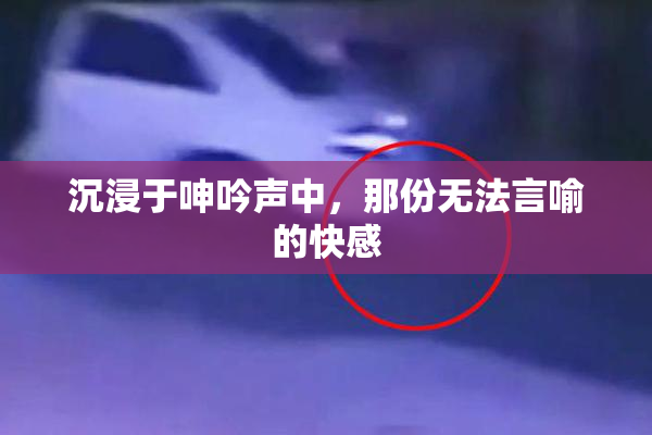 沉浸于呻吟声中，那份无法言喻的快感