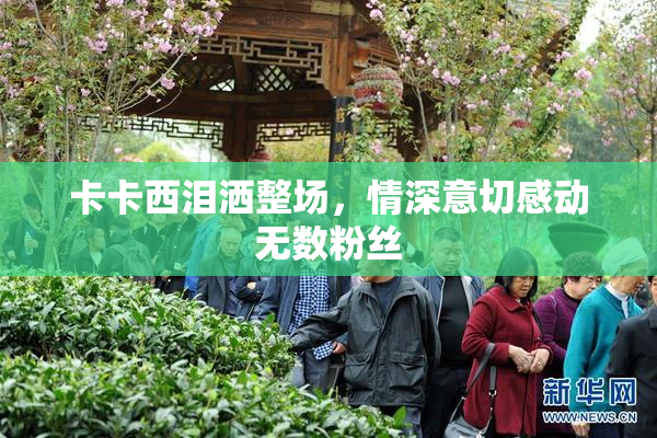 卡卡西泪洒整场，情深意切感动无数粉丝