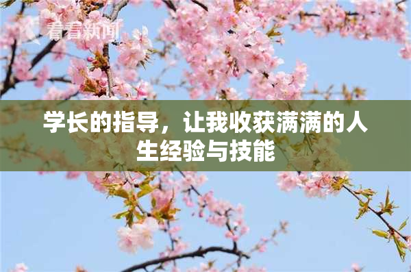 学长的指导，让我收获满满的人生经验与技能