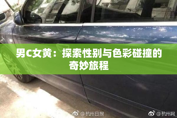男C女黄：探索性别与色彩碰撞的奇妙旅程