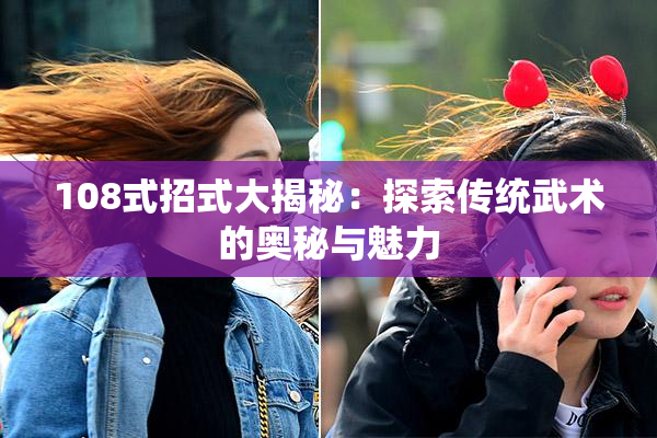 108式招式大揭秘：探索传统武术的奥秘与魅力