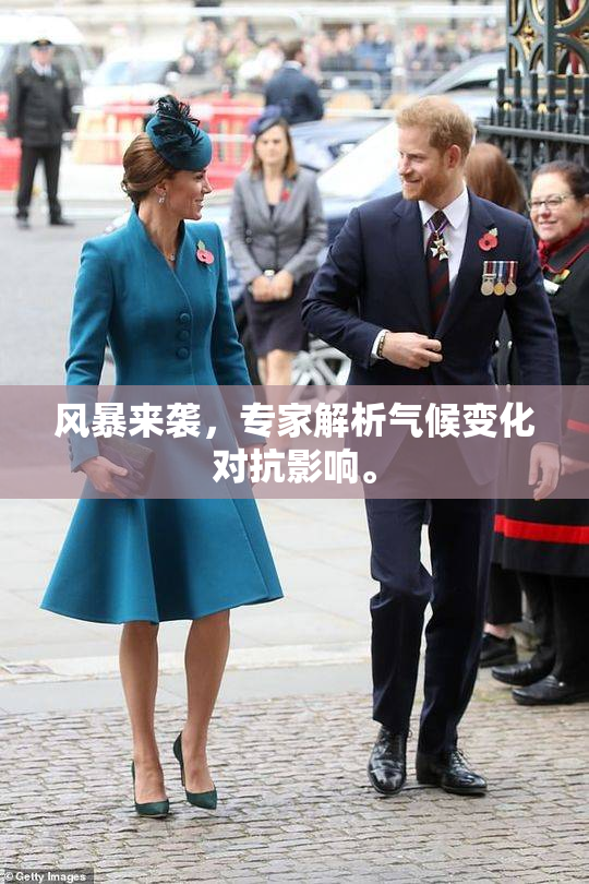 风暴来袭，专家解析气候变化对抗影响。