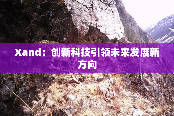 Xand：创新科技引领未来发展新方向
