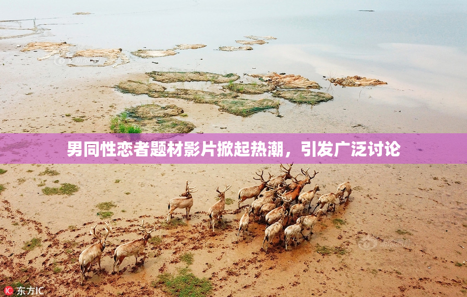 男同性恋者题材影片掀起热潮，引发广泛讨论