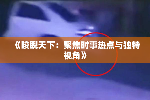 《睃睨天下：聚焦时事热点与独特视角》