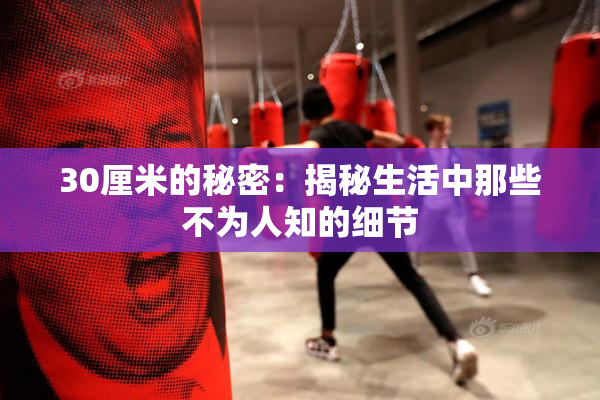 30厘米的秘密：揭秘生活中那些不为人知的细节
