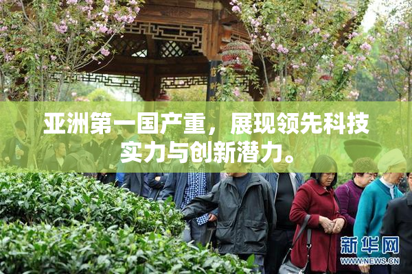 亚洲第一国产重，展现领先科技实力与创新潜力。