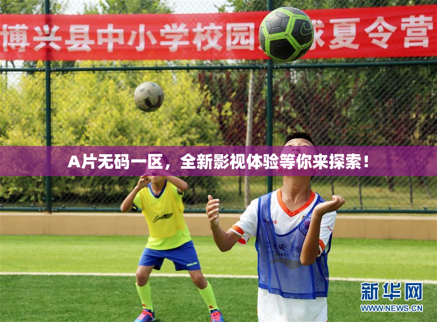 A片无码一区，全新影视体验等你来探索！