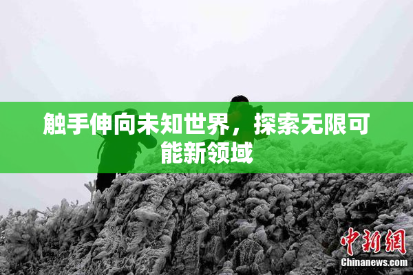 触手伸向未知世界，探索无限可能新领域