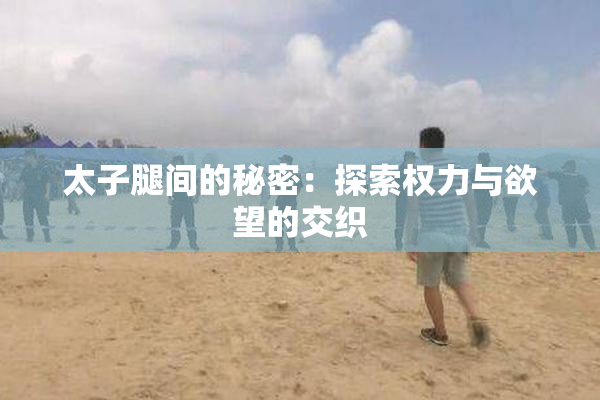 太子腿间的秘密：探索权力与欲望的交织
